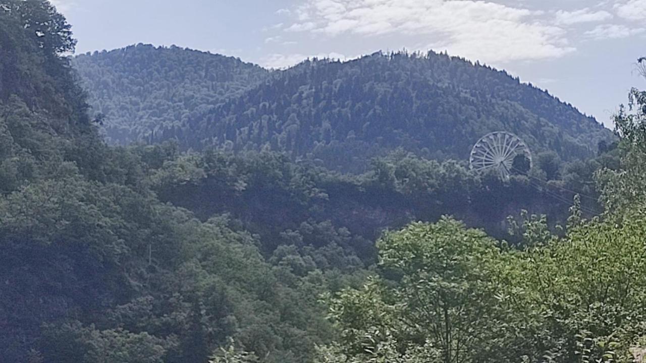 Borjomi Nest Hotell Exteriör bild